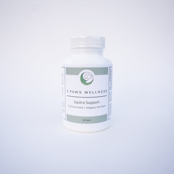 Gastro Support with Psyllium Husk