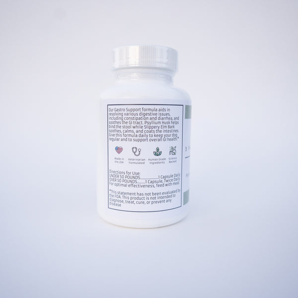 Gastro Support with Psyllium Husk
