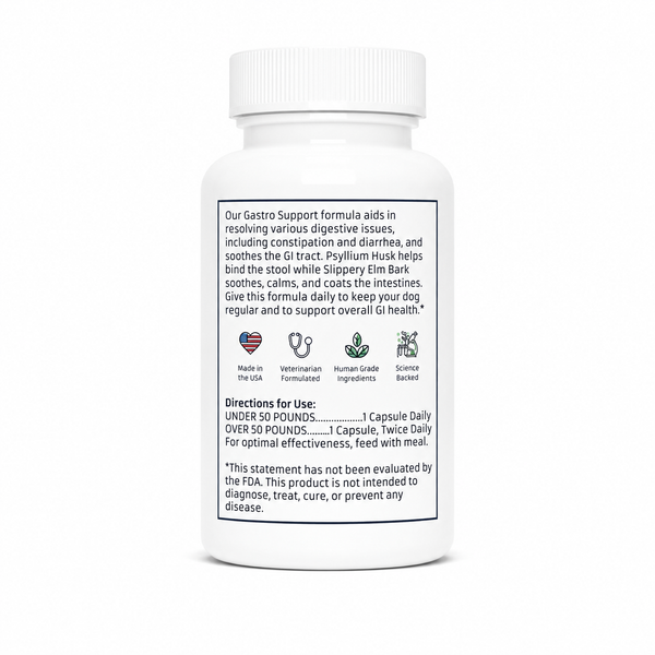 Gastro Support with Psyllium Husk
