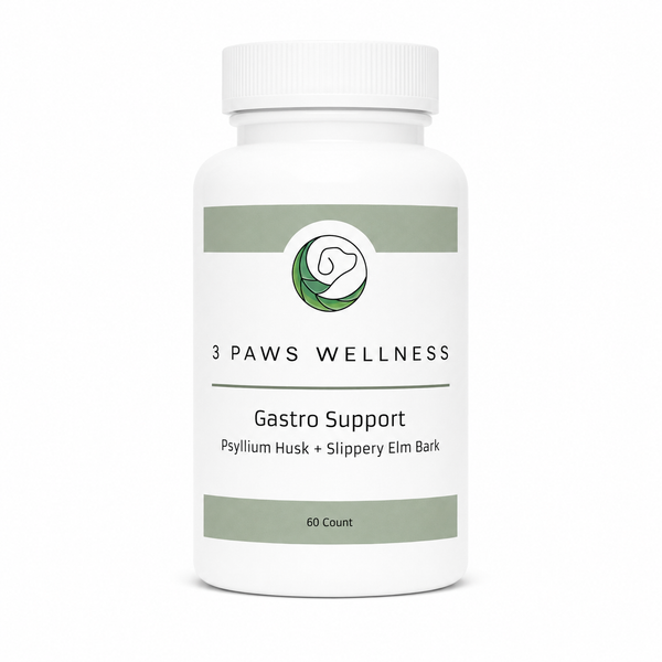 Gastro Support with Psyllium Husk